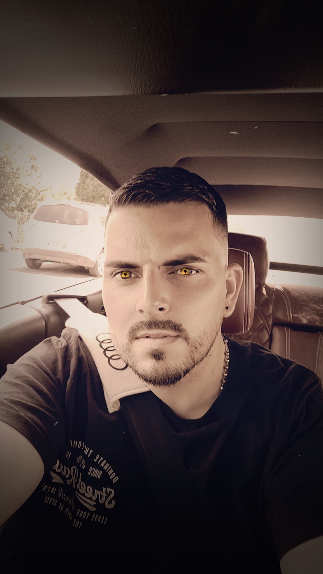 Perfil de Apollon, 38 años, trans escort en Sojuela