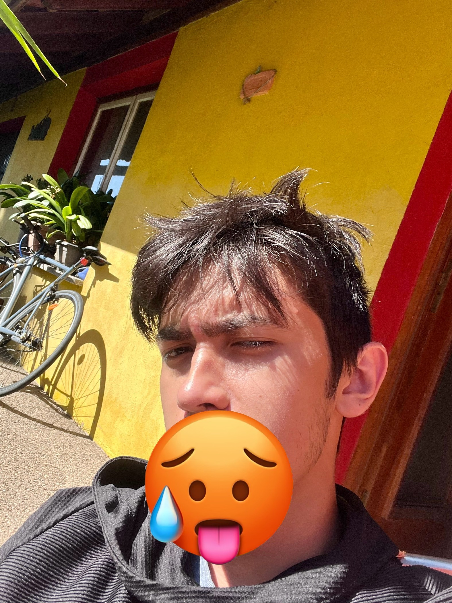 Perfil de Egide, 22 años, trans escort en San Martín de la Vega