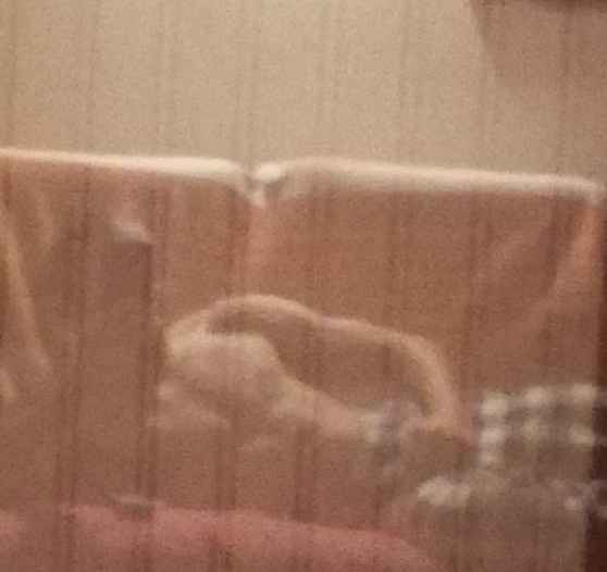 Perfil de Habib, 23 años, trans escort en Torlengua