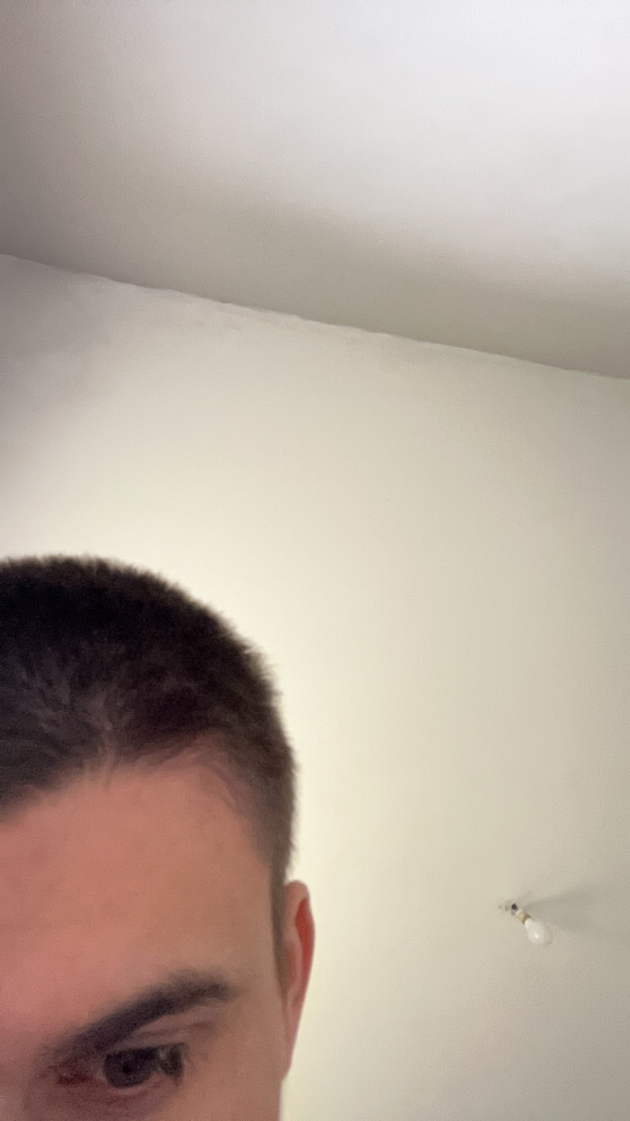 Perfil de William, 22 años, trans escort en Povedilla